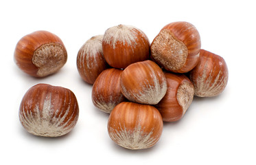 Haselnüsse Freisteller