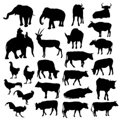 Black silhouettes of elephants, cows, bulls, chickens, deer on white background. vector