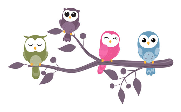 couples of owls sitting on branches