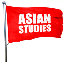 asian studies, 3D rendering, a red waving flag