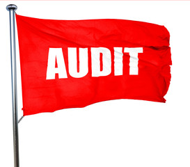 audit, 3D rendering, a red waving flag