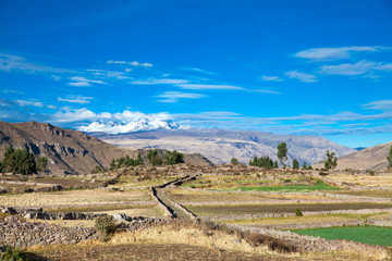 landscape of Peru