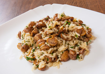 risotto with mushrooms on plate