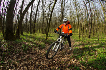 Fototapeta premium Cyclist Riding the Bike in Beautiful Spring Forest