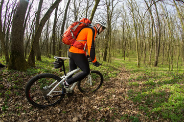 Fototapeta premium Cyclist Riding the Bike in Beautiful Spring Forest