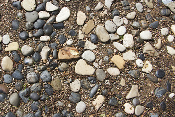 Wet pebbles, soil, sand, background