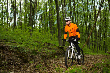 Fototapeta na wymiar Cyclist Riding the Bike in Beautiful Spring Forest