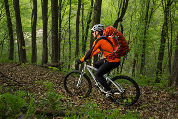 Fototapeta premium Cyclist Riding the Bike in Beautiful Spring Forest