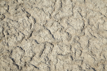 soil salt crystals,