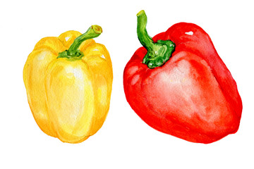 красный и желтые перец .рисунок акварелью