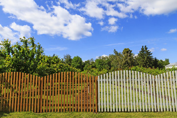 garden fence and apple