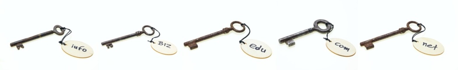 Rusty keys with wooden round tags with domain names, isolated on white background