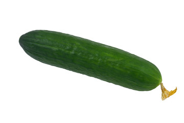 Long cucumber on a white background