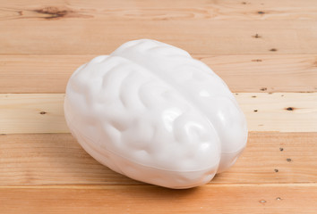 Fototapeta na wymiar human brain model 