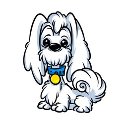 Dog Bichon cartoon illustration isolated image animal character 
