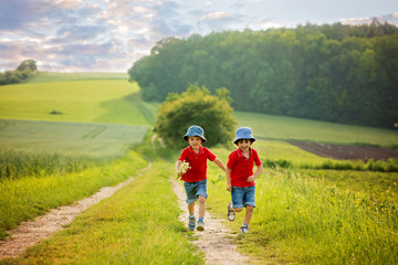 Obraz premium Adorable children, boy brothers, running in a field in the rural