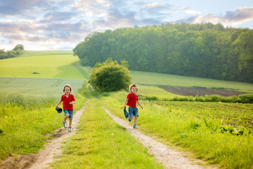 Adorable children, boy brothers, running in a field in the rural