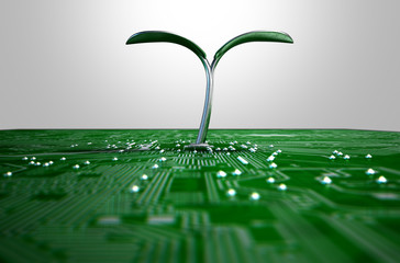 Macro Circuit Board With Futuristic Plant