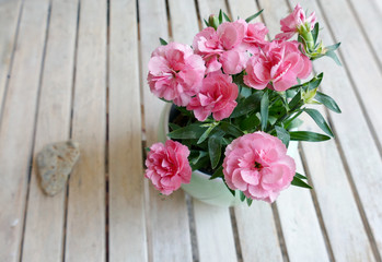 Fototapeta na wymiar Beautiful pink flower carnation