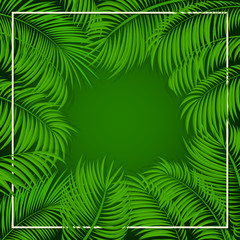 Palm leaves on green background