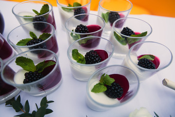 Beautifully decorated catering banquet table with different food snacks and appetizers with sandwich, caviar, fresh fruits on corporate christmas birthday kids party event or wedding celebration