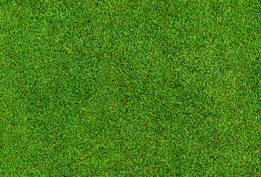 close up background of beautiful green grass pattern from golf course
