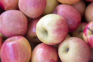 Red Apples Background