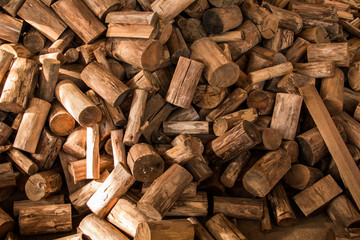 wood seamless background with stumps, tree cuts, logs, ecology background