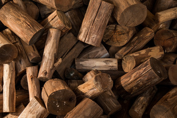 wood seamless background with stumps, tree cuts, logs, ecology background