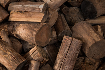 wood seamless background with stumps, tree cuts, logs, ecology background