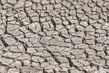Cracked dry land without water.Abstract background.