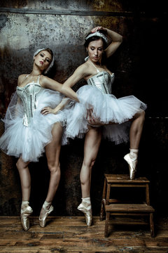 The two classic ballet dancers wearing white tutu skirt
