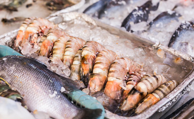 Seafood on ice at the fish market