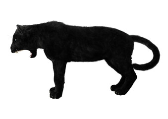 3D Rendering Black Panther on White