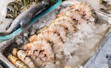 Seafood on ice at the fish market