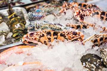 Seafood on ice at the fish market