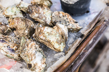 Seafood on ice at the fish market