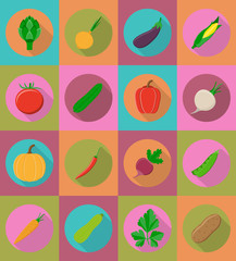 vegetables flat icons with the shadow vector illustration