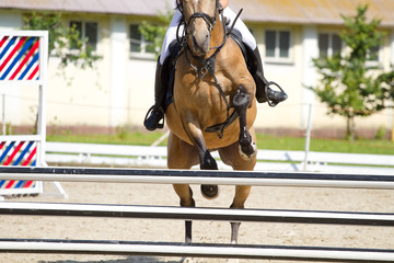 Horse jump a hurdle
