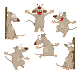 Foto op Plexiglas Illustration of a Set of a Cute Cartoon Cute Rats © liusa