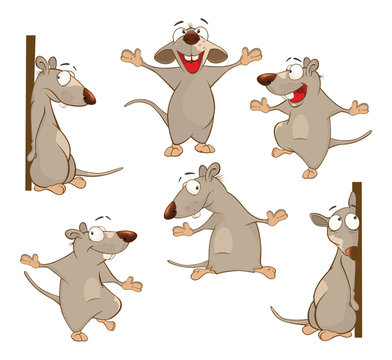 Illustration of a Set of a Cute Cartoon Cute Rats