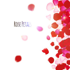Rose petals background. For presentations, invitation ad print. Wedding valentine love concept