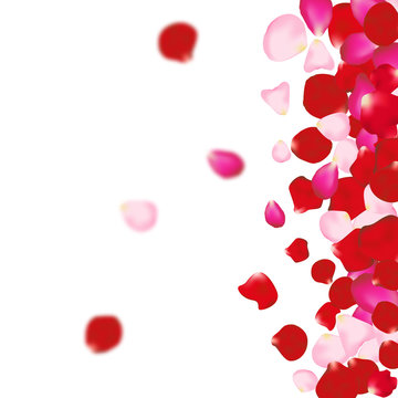 Rose petals background. For presentations, invitation ad print. Wedding valentine love concept