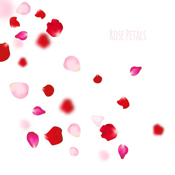 Rose petals background. For presentations, invitation ad print. Wedding valentine love concept