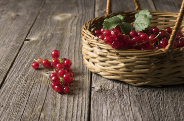 Fresh red currant on wooden table