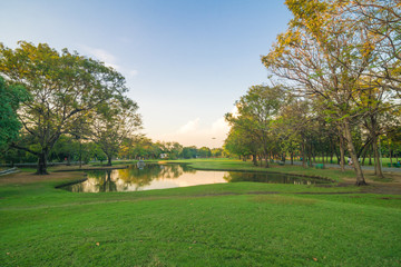 Sunset in the beautiful park with pond nature