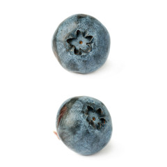 Set of Single berry of Bilberry or blueberry over isolated white background