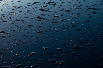 Water Droplets Wallpaper