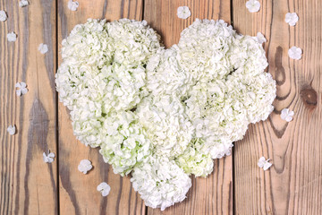 Heart made of white flowers. Love concept