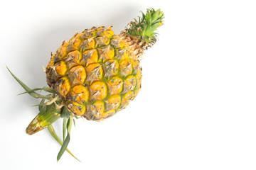 Pineapple on white background